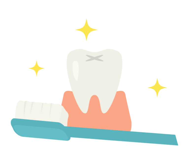 歯と歯ブラシ