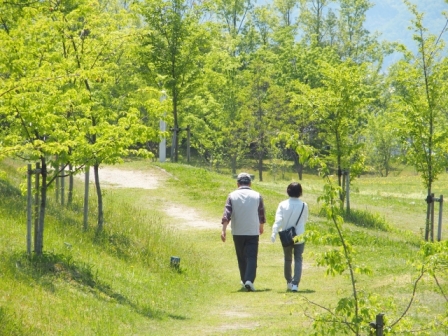 緑の中を歩く夫婦